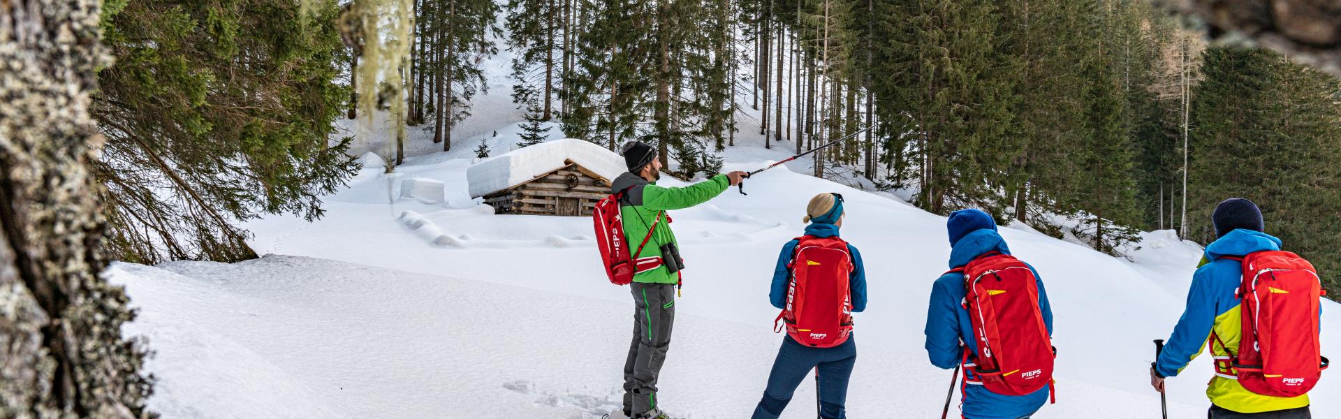 Schneeschuhwandern im Seebachtal